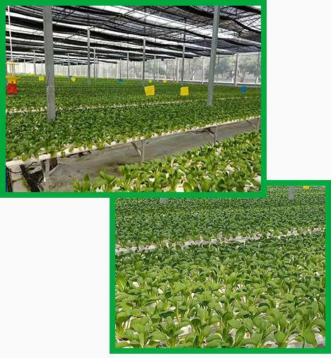 信譽(yù)保證 長(zhǎng)久合作 信譽(yù)保證 長(zhǎng)久合作